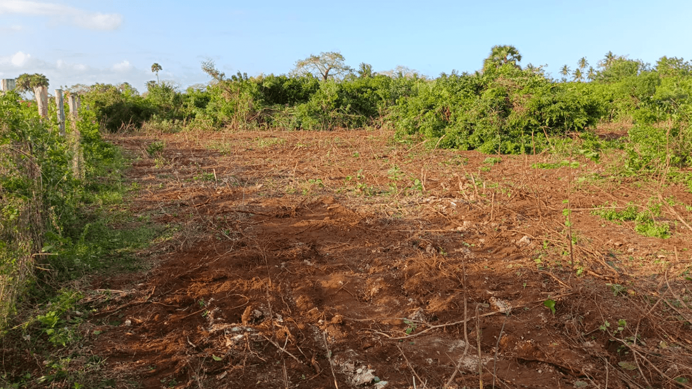 Coastal Property View - Scenic Perspective