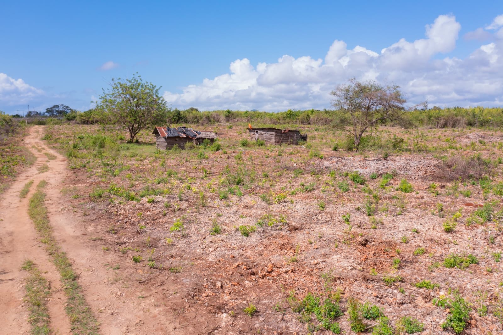 Near Beach Access - Coastal Paradise