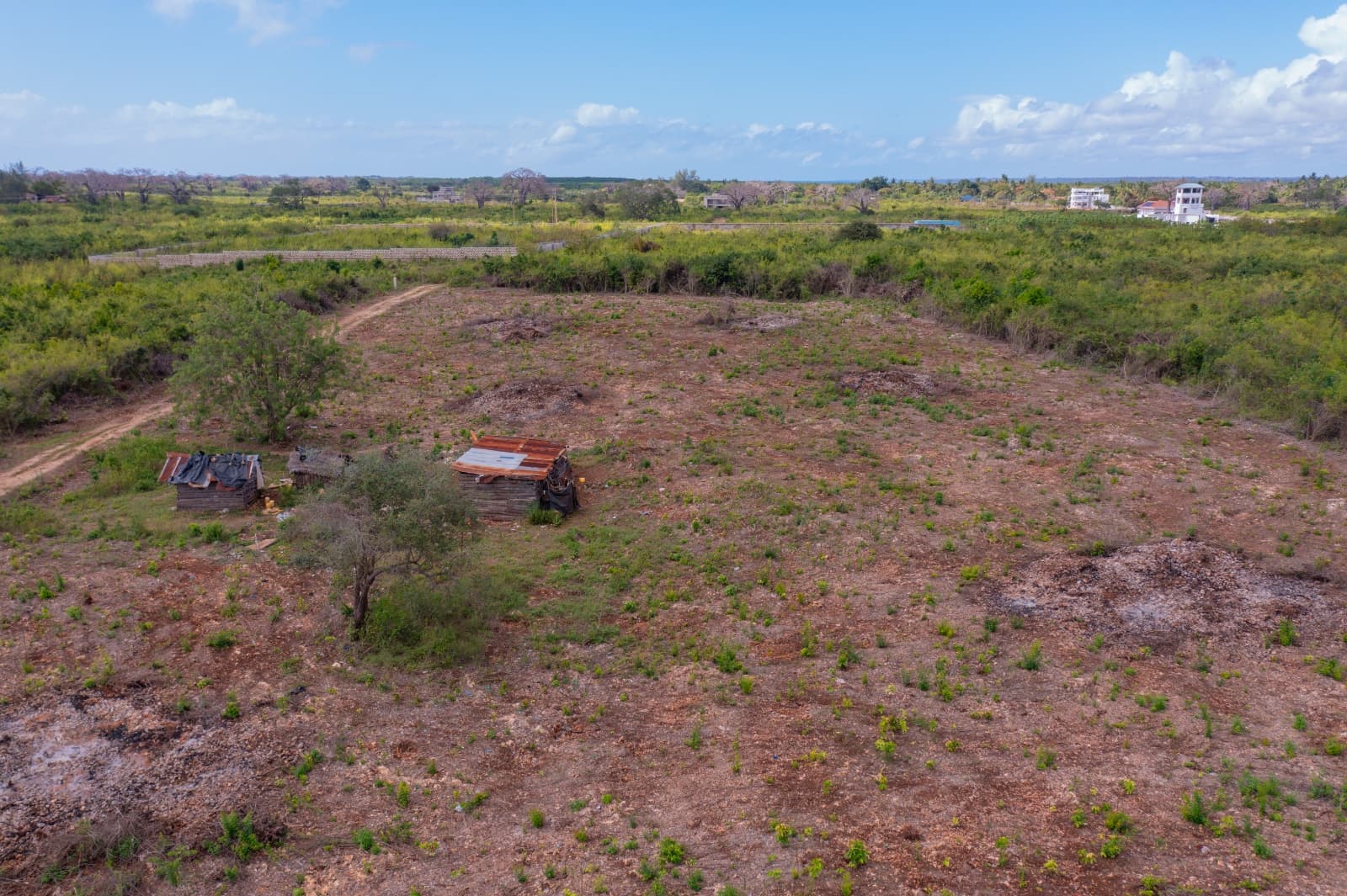 Investment Grade - High Potential